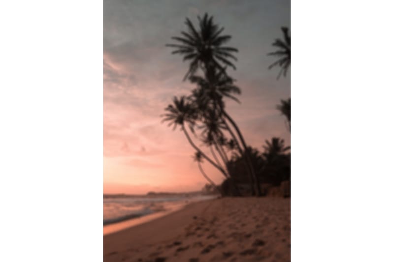 Poster Summer 50x70 cm - Rosa - Inredning & dekor - Tavlor & konst - Poster & print