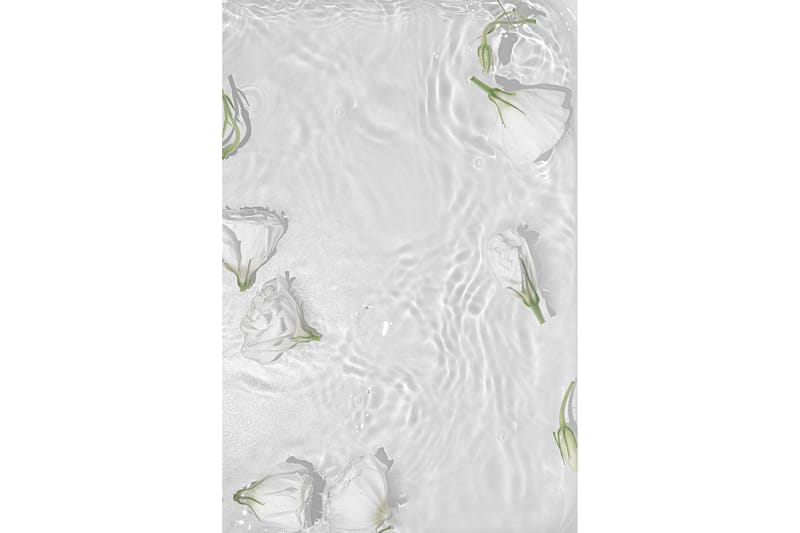 Poster White Roses 21x30 cm - Vit - Inredning & dekor - Tavlor & konst - Poster & print