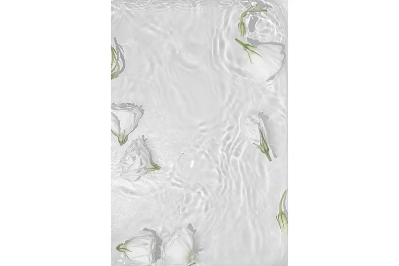 Poster White Roses 50x70 cm, Vit