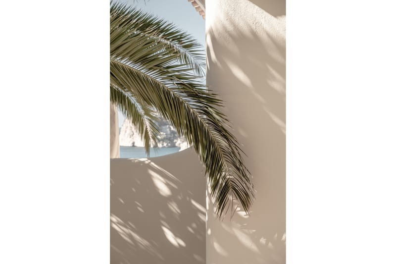 Poster Palmleaf 30x40 cm Beige - Poster & print