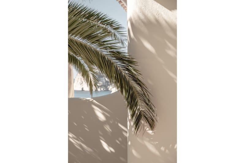 Poster Palmleaf 50x70 cm - Beige - Inredning & dekor - Tavlor & konst - Poster & print