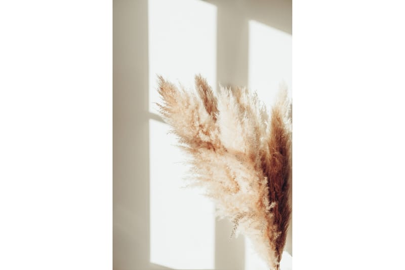 Poster Pampas 21x30 cm - Beige - Inredning & dekor - Tavlor & konst - Poster & print