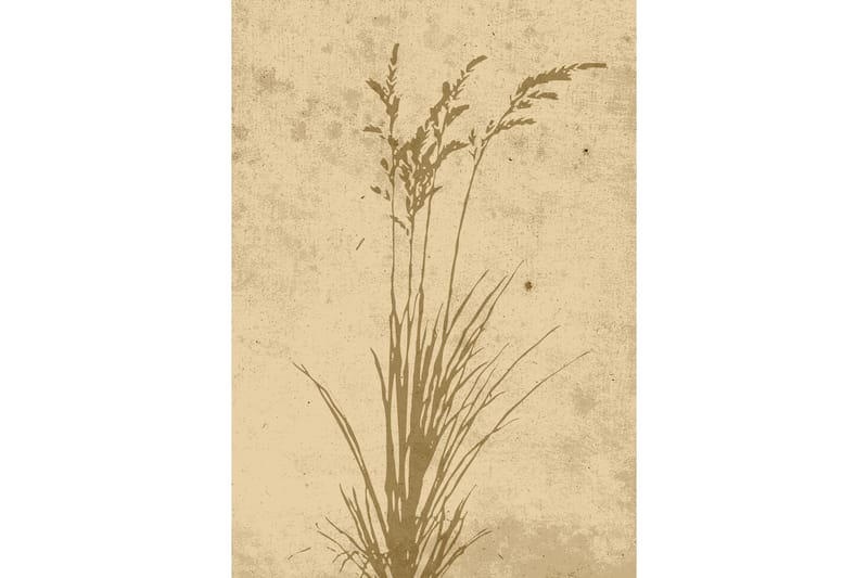 Poster Plant art 70x100 cm, Beige