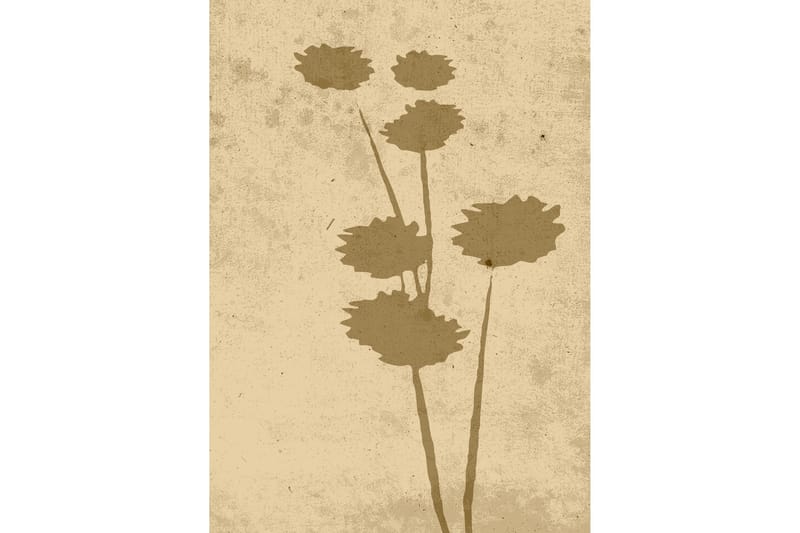 Poster Flower art 50x70 cm Beige - Poster & print