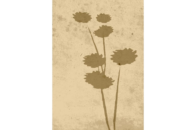Poster Flower art 70x100 cm Beige - Poster & print