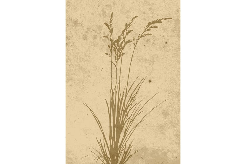 Poster Plant art 21x30 cm Beige - Poster & print