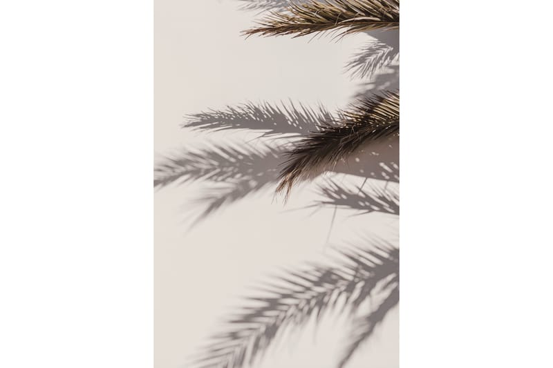 Poster Shadow 50x70 cm Beige -   - Poster & print