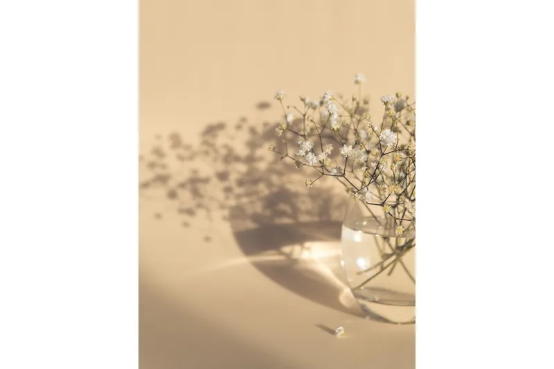 Poster White Flowers 21x30 cm, Beige