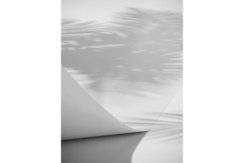 Poster Papyrus 50x70 cm, Vit