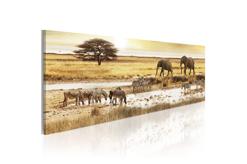 Tavla Africa At The Waterhole 135x45, Artgeist sp. z o. o.