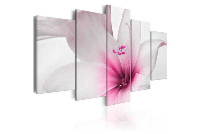 Tavla Amarylis Pink Charm 100x50, Artgeist sp. z o. o.