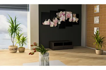 Tavla An Orchid On A Contrasting Background 200x100 - Artgeist sp. z o. o. - Inredning & dekor - Tavlor & konst - Canvastavla