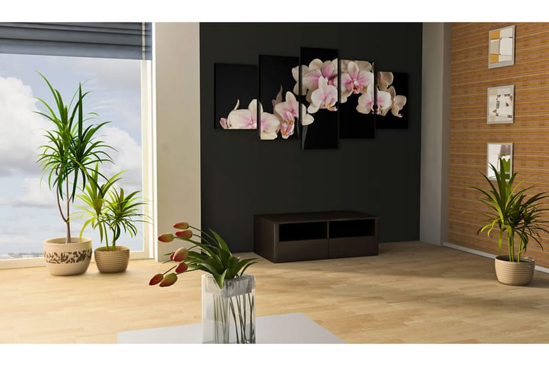 Tavla An Orchid On A Contrasting Background 200x100 - Artgeist sp. z o. o. - Inredning & dekor - Tavlor & konst - Canvastavla