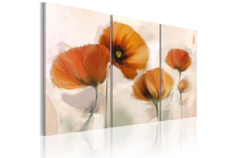 Tavla Artistic Poppies Triptych 120x80, Artgeist sp. z o. o.