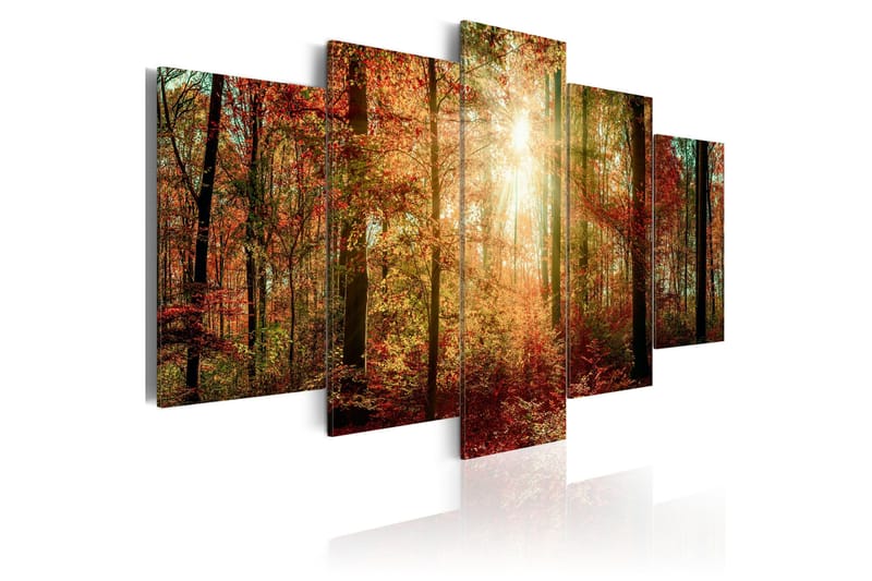 Tavla Autumn Wilderness 200x100, Artgeist sp. z o. o.