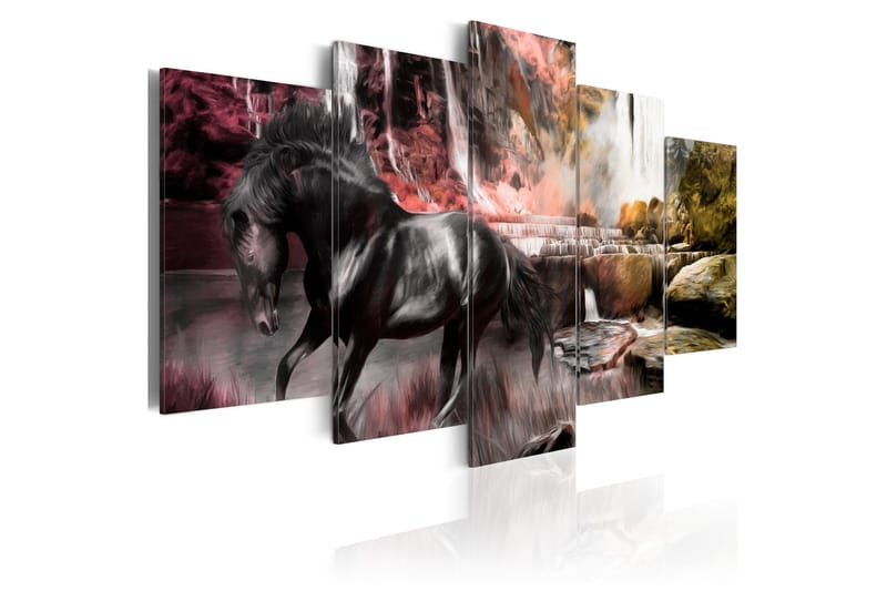 Tavla Black Horse On Crimson Sky Background 100x50, Artgeist sp. z o. o.