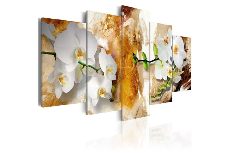 Tavla Brown Paint And Orchid 200x100, Artgeist sp. z o. o.