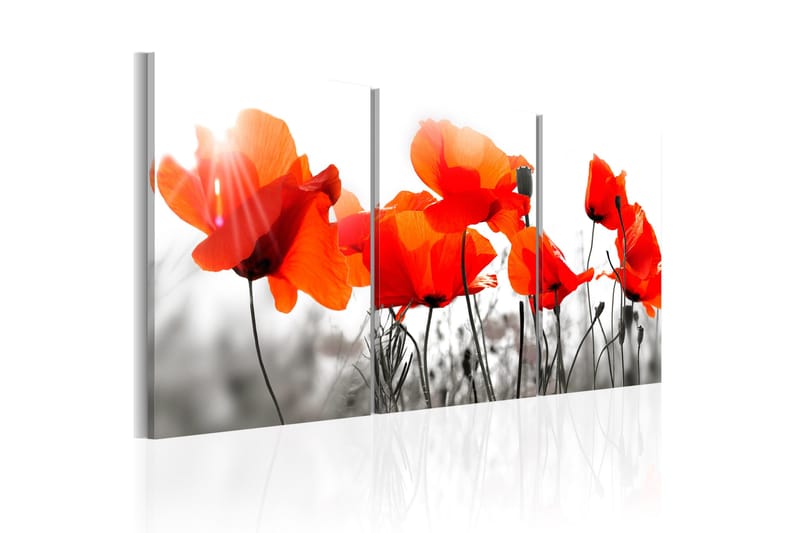 Tavla Charming Poppies 120x60, Artgeist sp. z o. o.