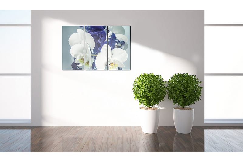 Tavla Chimär Orkidéer 60x40 - Artgeist sp. z o. o. - Inredning & dekor - Tavlor & konst - Canvastavla