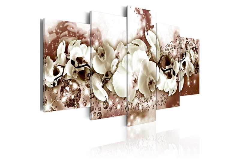 Tavla Chocolate Orchid 100x50, Artgeist sp. z o. o.