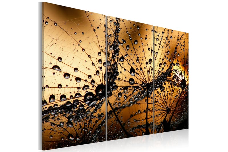 Tavla Dandelions And Dew 120x80, Artgeist sp. z o. o.