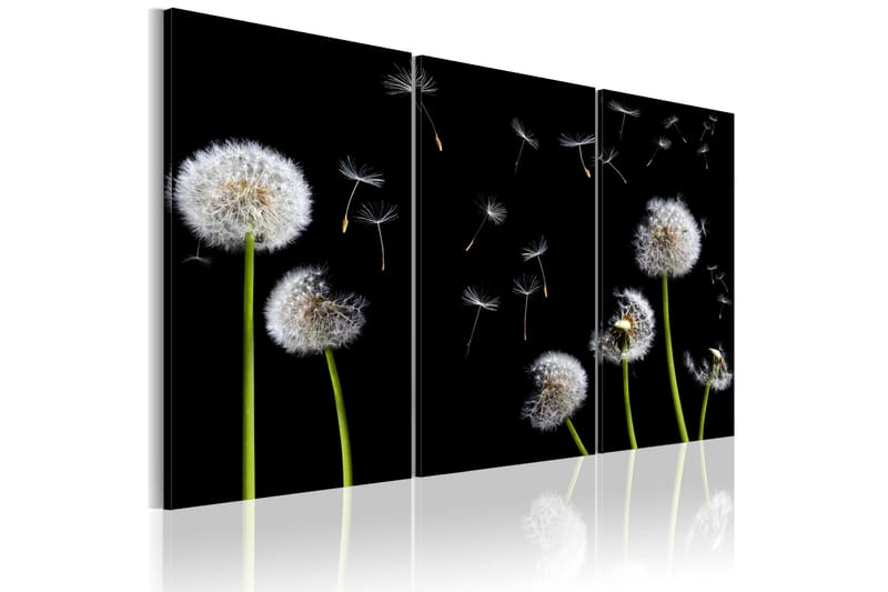 Tavla Dandelions Family 120x80, Artgeist sp. z o. o.