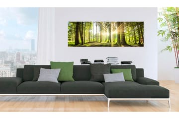 Tavla Daylight 135x45 - Artgeist sp. z o. o. - Inredning & dekor - Tavlor & konst - Canvastavla