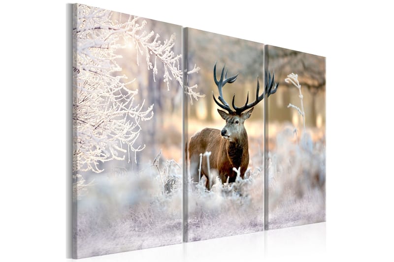 Tavla Deer In The Cold 90x60, Artgeist sp. z o. o.