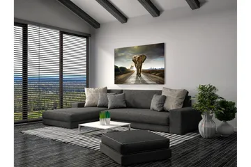 Tavla Elephant - 80x120 cm - Inredning & dekor - Tavlor & konst