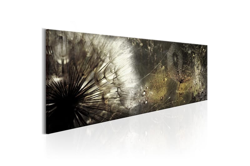 Tavla Enchanted Morning 150x50, Artgeist sp. z o. o.