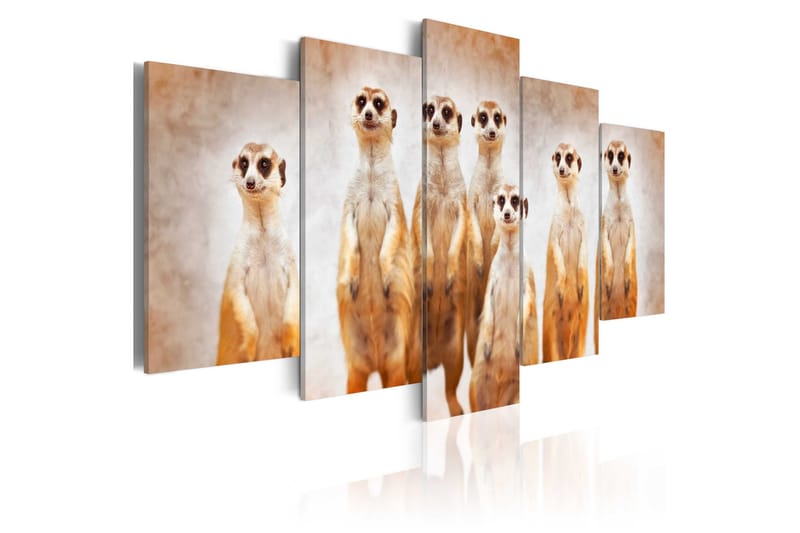 Tavla Family Of Meerkats 100x50, Artgeist sp. z o. o.