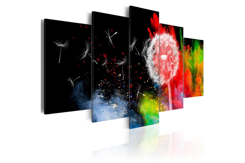 Tavla Festival Of Colours 200x100, Artgeist sp. z o. o.