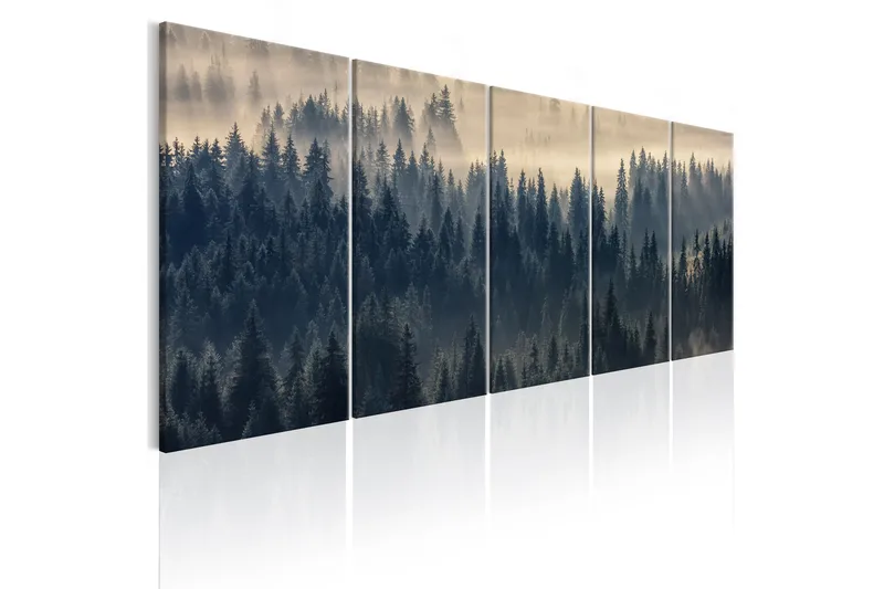 Tavla Fir In The Fog 225x90, Artgeist sp. z o. o.