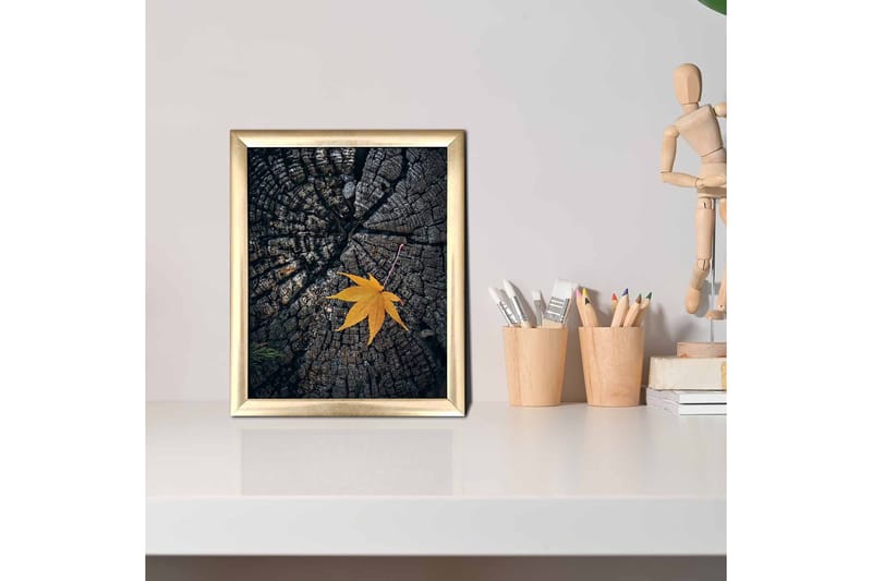 Tavla Floral med Ram Flerfärgad - 23,5x28,5 cm - Inredning & dekor - Tavlor & konst