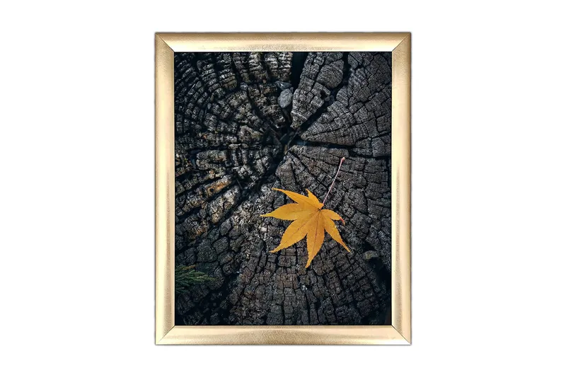 Tavla Floral med Ram Flerfärgad - 23,5x28,5 cm - Inredning & dekor - Tavlor & konst