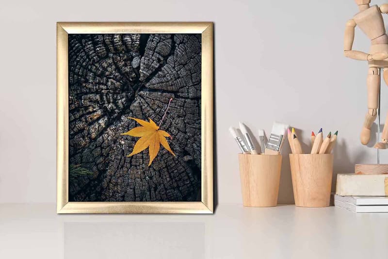 Tavla Floral med Ram Flerfärgad - 23,5x28,5 cm - Inredning & dekor - Tavlor & konst