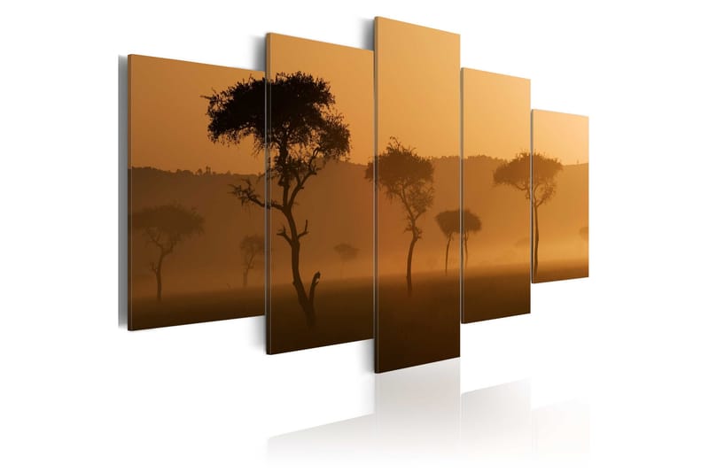 Tavla Fog Over A Savannah 200x100, Artgeist sp. z o. o.