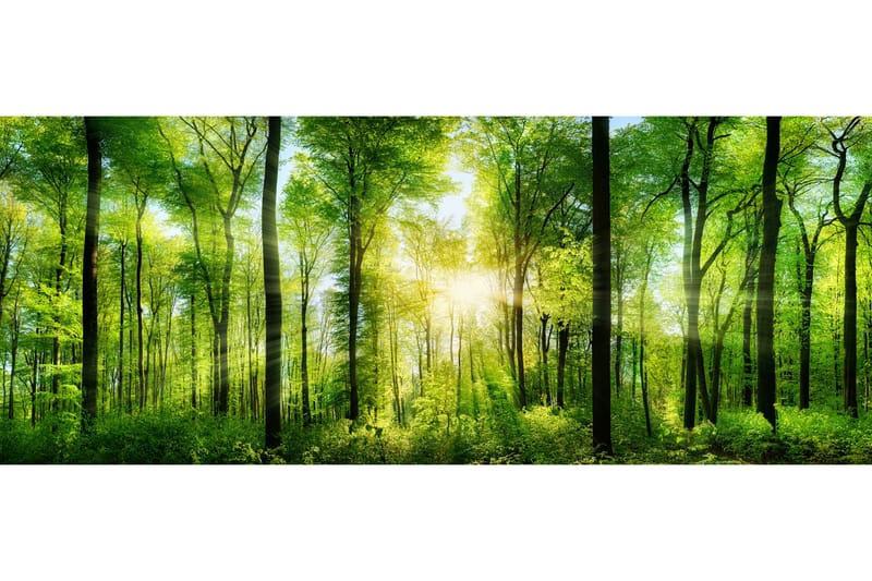 Tavla Forest 125X50 Flerfärgad - 50x125 cm - Inredning & dekor - Tavlor & konst