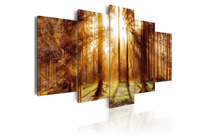 Tavla Forest Illumination 200x100, Artgeist sp. z o. o.