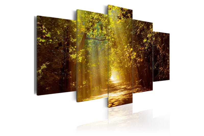 Tavla Forest In The Sunlight 200x100, Artgeist sp. z o. o.