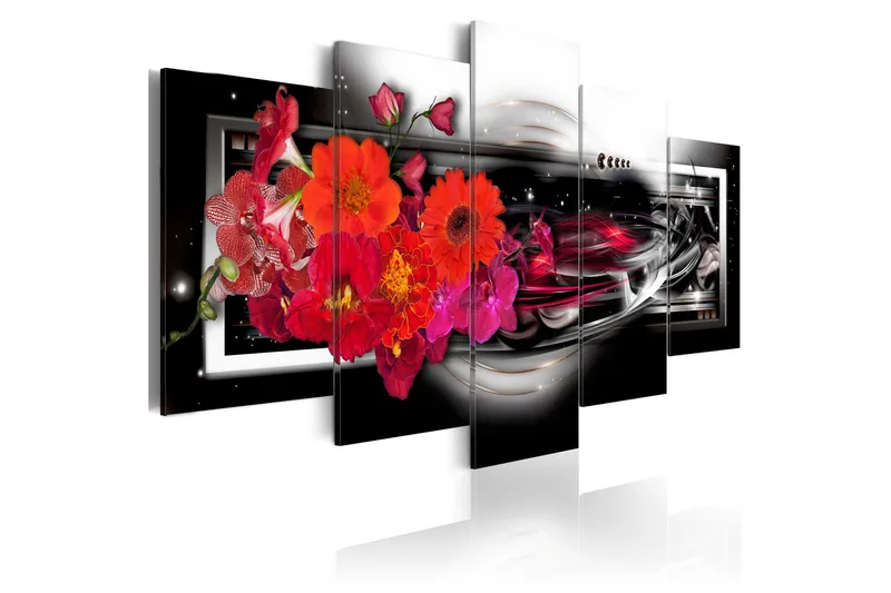 Tavla Gerberas On Black Background 200x100, Artgeist sp. z o. o.
