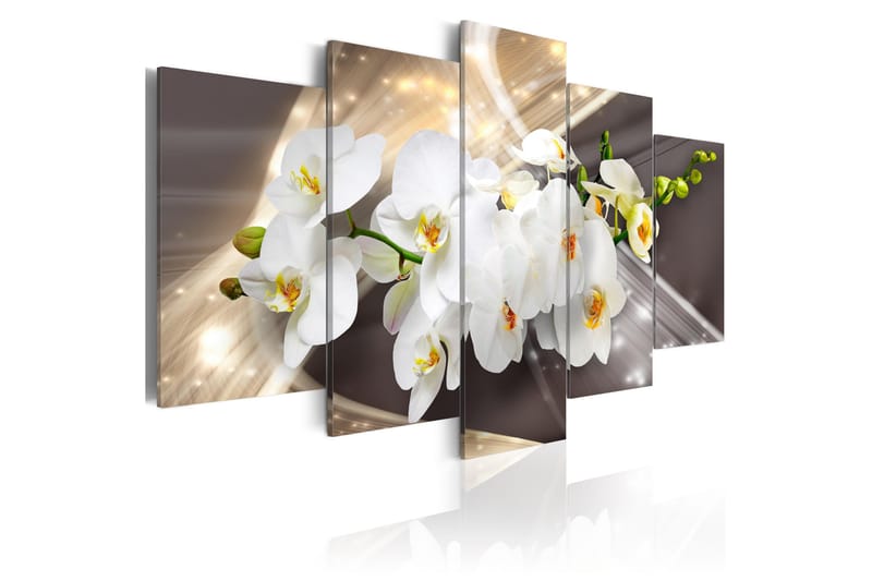 Tavla Golden Sash 200x100, Artgeist sp. z o. o.