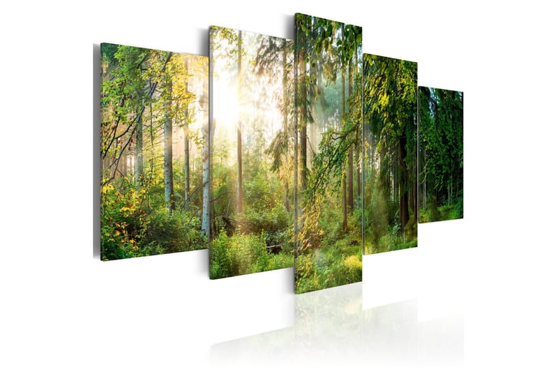 Tavla Green Sanctuary 200x100, Artgeist sp. z o. o.