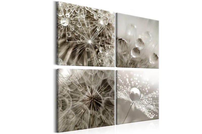 Tavla Grey Dandelion 60x60, Artgeist sp. z o. o.