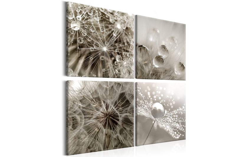 Tavla Grey Dandelion 80x80, Artgeist sp. z o. o.