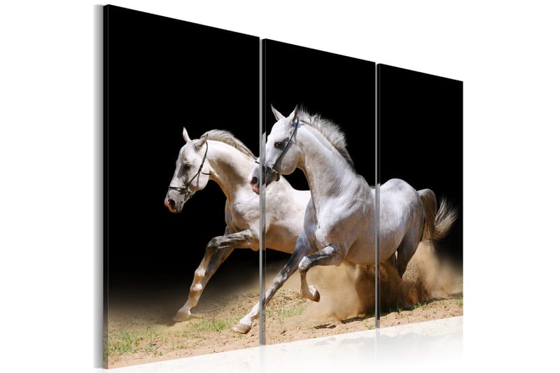 Tavla Horses- Power And Velocity 120x80, Artgeist sp. z o. o.