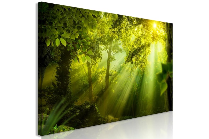 Tavla In the Sunshine (1 Part) Narrow 150x50 - Artgeist sp. z o. o. - Inredning & dekor - Tavlor & konst - Canvastavla