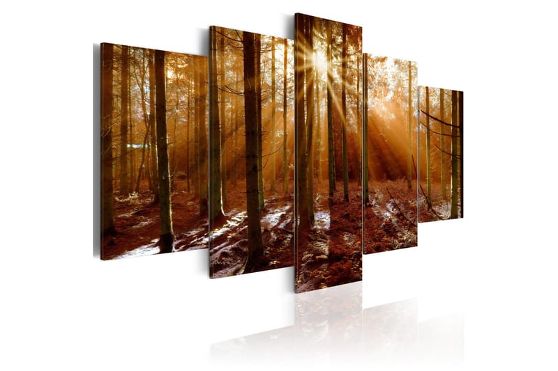Tavla Kiss Of Autumn 100x50, Artgeist sp. z o. o.