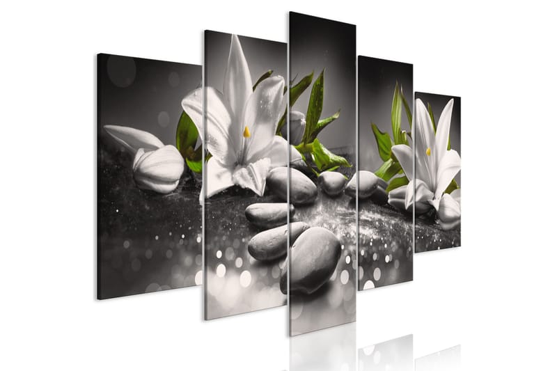 Tavla Lilies And Stones 5 Parts Wide Grey 200x100, Artgeist sp. z o. o.