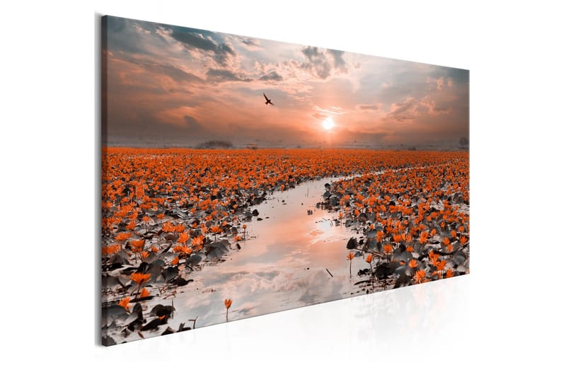 Tavla Lily Pathway (1 Part) Narrow 150x50 cm - Inredning & dekor - Tavlor & konst - Canvastavla